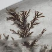 天然デンドリティッククォーツ