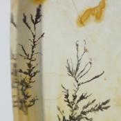 天然デンドリティッククォーツ