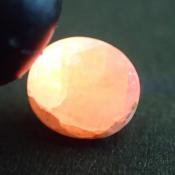 天然タグトゥパイト