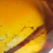 天然スファレライト