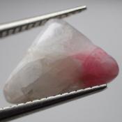 天然タグトゥパイト