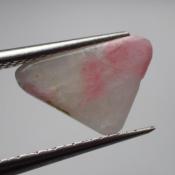 天然タグトゥパイト