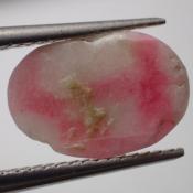 天然タグトゥパイト