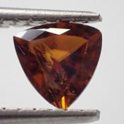 天然バストネサイト